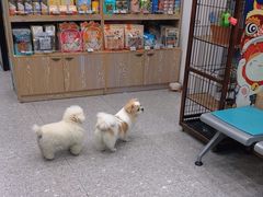 -四月宠物医院·猫专科·心脏专科·内科(转塘店)