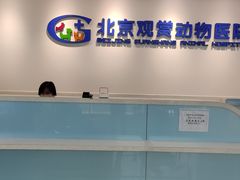 -北京观赏动物医院·24小时大型综合·猫专科·异宠专科