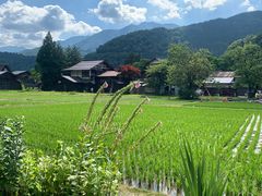 -白川乡与五箇山的合掌构造村落