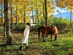 -泸沽湖国家级风景名胜区走婚桥