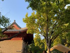 -云龙山