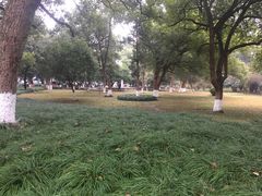 -中国人民解放军联勤保障部队第九〇三医院(九里松院区)