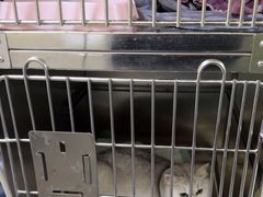 -动物缘宠物医院·骨科·猫科(西二环店)