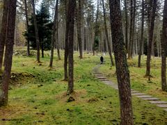 -硗碛藏寨·神木垒景区