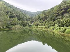 -九龙潭景区