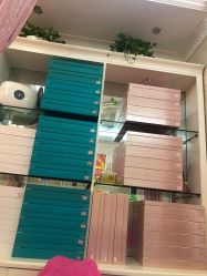 -香薇妮丝女子减肥院