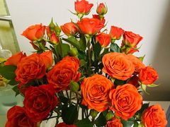 -盒马鲜生(红莲店)