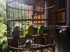 -鱼桥巷·美学川菜