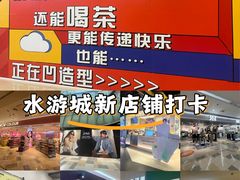 -鹏欣水游城