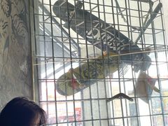 -BE NORMAL CAFE(霞溪路店)