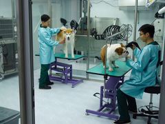 -欧奕国际动物医院