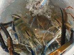 -粮心小农·大头虾亲子生态园(长发店)