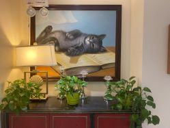 -咪咪比基尼脱毛专业店