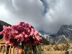 -玉龙雪山蓝月谷