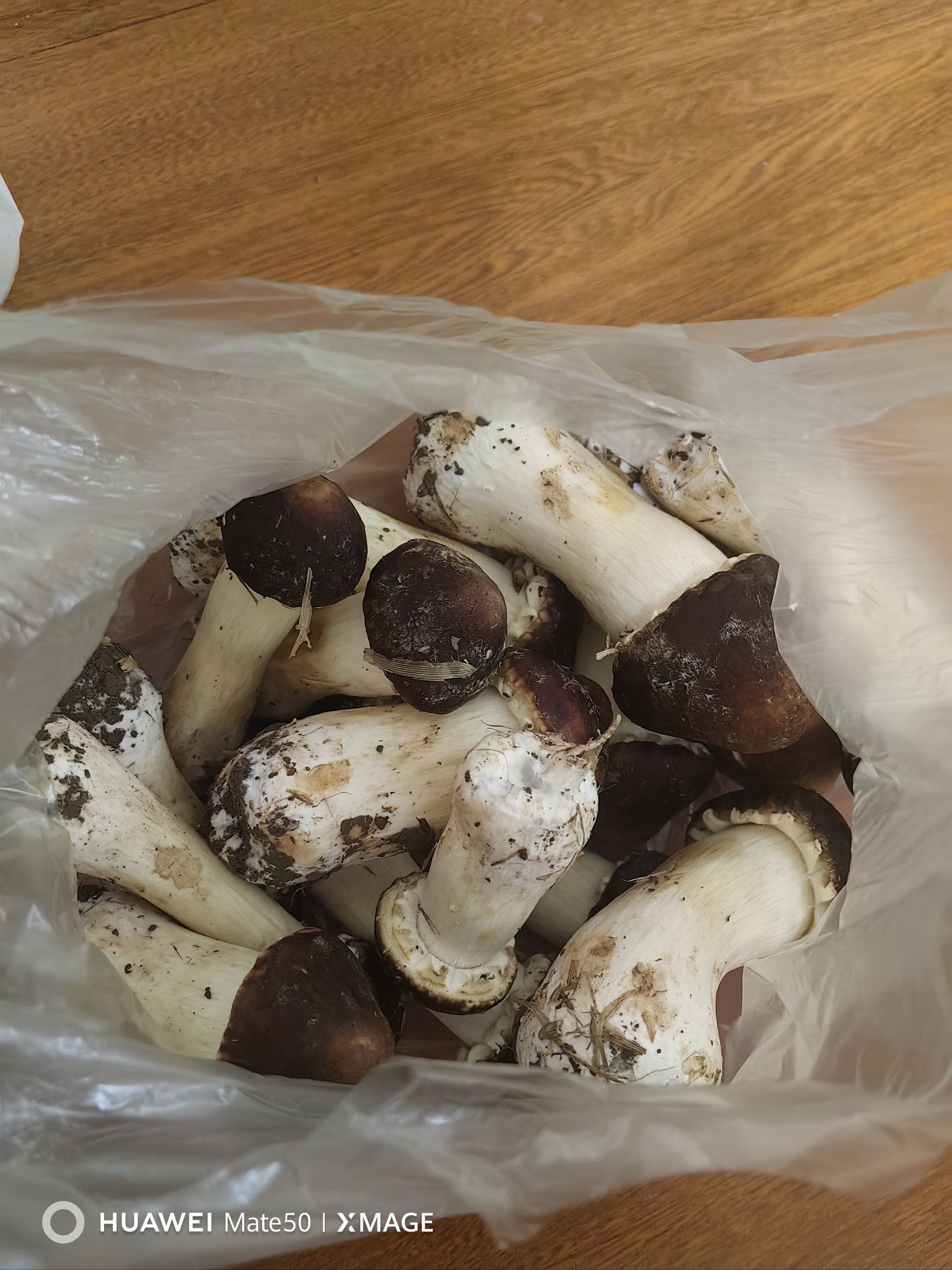 美味鸡茸真好吃