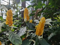 -北京植物园-展览温室