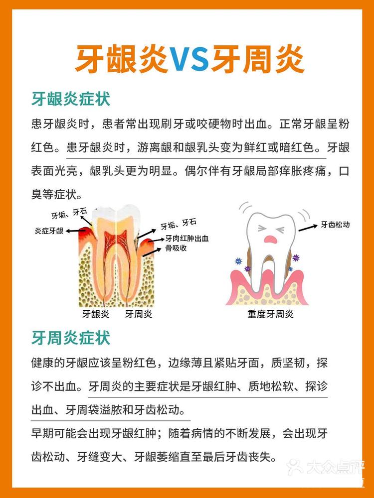 牙床部位图解图片