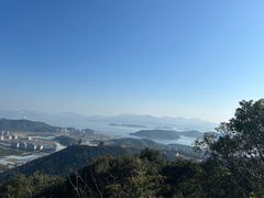 -黄贤森林公园