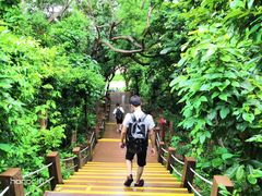 -东澳岛