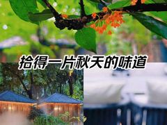 -大妙火锅·非物质文化遗产(东湖公园店)