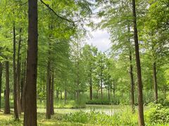 -西溪国家湿地公园