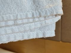 -西安赛瑞喜来登大酒店