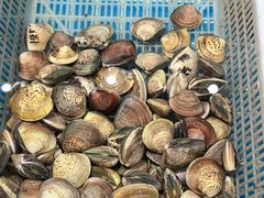 -和源祥·日照菜扛把子(万平口一店)