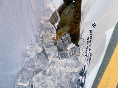 -DGE季风钓虾营地·团建·聚会