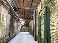 -阿尔卡特拉斯岛