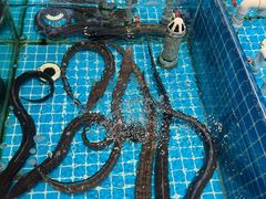 -美达尔烧烤(大尧三路店)