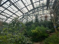 -南山植物园