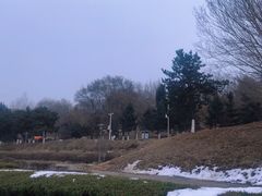 -莫子山公园