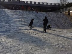 -永定河休闲森林公园