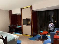 -常州环球恐龙城维景国际大酒店