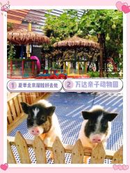 -萌宠亲子动物乐园(槐房万达店)