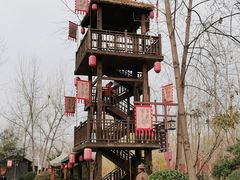 -合肥滨湖国家森林公园