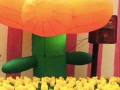 -石狮世茂摩天城摩天轮