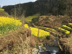-灵山景区梯田