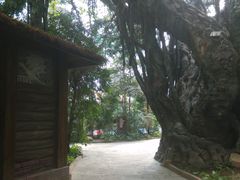 -龙达温泉生态城