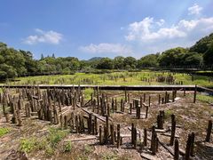 -河姆渡遗址博物馆