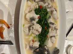 -臻宝中餐厅·大连菜·海鲜·融合菜(大连一方城堡豪华精选酒店)