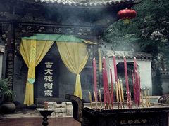 -大槐树寻根祭祖园