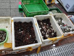 -渔人湾码头海鲜市场负二楼