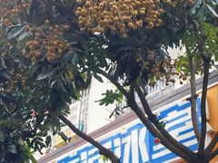 -有间冰室(侨港风情街店)