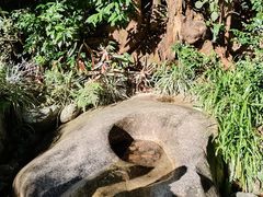 -雁南飞茶田景区