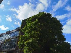 -海峡创意产业园