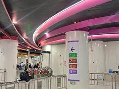 -大剧院(地铁站)