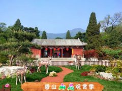 -香山公园