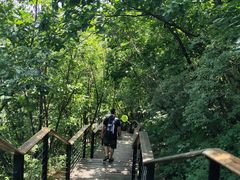 -黑龙潭风景区