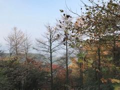 -莫干山风景区